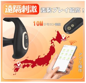 Leyuto アナルバイブ HW-JP-02-5